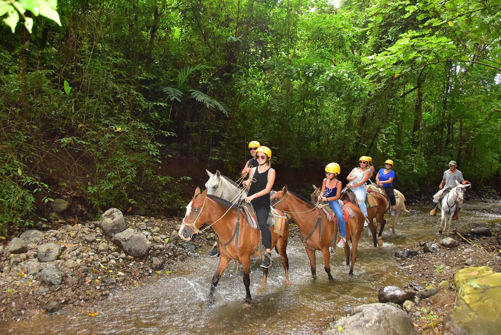 Horseback Riding